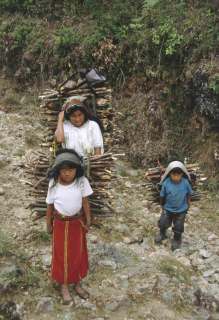 w górach trójkąta